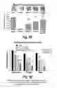 Fig. 03 - COMPOSITIONS AND METHODS FOR TREATING RHEUMATOID ARTHRITIS