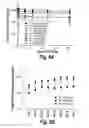 Fig. 08 - COMPOSITIONS AND METHODS FOR TREATING RHEUMATOID ARTHRITIS