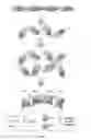 Fig. 02 - Bispecific CD33 and CD3 binding proteins