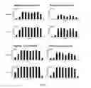 Fig. 04 - Bispecific CD33 and CD3 binding proteins