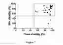 Fig. 07 - Bispecific CD33 and CD3 binding proteins
