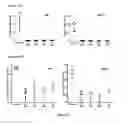 Fig. 17 - Bispecific CD33 and CD3 binding proteins