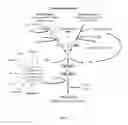 Fig. 02 - Anti-factor Bb antibodies
