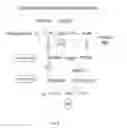 Fig. 03 - Anti-factor Bb antibodies