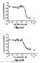 Fig. 28 - Compositions for inhibiting MASP-2 dependent complement activation