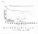 Fig. 05 - Classifying a cancer disease using CAIX expression