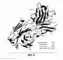 Fig. 07 - Coiled coil and/or tether containing protein complexes and uses thereof