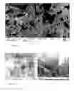 Fig. 15 - COMPOSITIONS OF PARTIALLY DEACETYLATED CHITIN DERIVATIVES