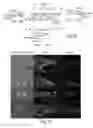 Fig. 06 - Method for preparing a hydrogel matrix by photopolymerization