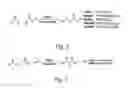 Fig. 03 - Densely functionalized polymers derived from baylis-hillman adducts