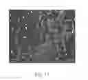 Fig. 11 - Densely functionalized polymers derived from baylis-hillman adducts