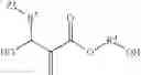 Fig. 22 - Densely functionalized polymers derived from baylis-hillman adducts
