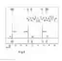 Fig. 09 - A Process to Prepare a Polyester Polymer Composition Comprising a Polyester Polymer Having Furanic Units and a Polyester Polymer Composition Obtainable Thereby and the use Thereof