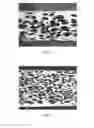 Fig. 07 - Polymeric sheets, methods for making and using the same, and articles comprising polymeric sheets