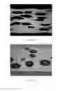 Fig. 09 - Polymeric sheets, methods for making and using the same, and articles comprising polymeric sheets