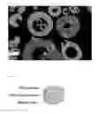 Fig. 02 - Halogenated polymer composite composition, its manufacturing process and its use