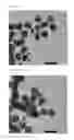 Fig. 03 - CORE-SHELL NANOPARTICLES AND METHOD FOR MANUFACTURING THE SAME