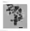 Fig. 04 - CORE-SHELL NANOPARTICLES AND METHOD FOR MANUFACTURING THE SAME