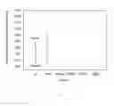 Fig. 07 - TUNABLE AND RESPONSIVE PHOTONIC HYDROGELS COMPRISING NANOCRYSTALLINE CELLULOSE