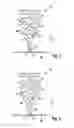 Fig. 04 - WIPER BLADE ELEMENT