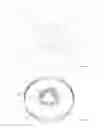 Fig. 05 - Structure for culturing cells