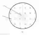 Fig. 04 - Method for stimulating the expression of specific tissue morphologies in filamentous fungi