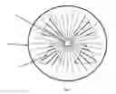 Fig. 05 - Method for stimulating the expression of specific tissue morphologies in filamentous fungi