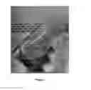 Fig. 02 - Methods of perfusion culturing using a shake flask and microcarriers