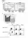 Fig. 04 - METHODS FOR GENERATING HEPATOCYTES AND CHOLANGIOCYTES FROM PLURIPOTENT STEM CELLS