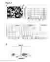 Fig. 06 - METHODS FOR GENERATING HEPATOCYTES AND CHOLANGIOCYTES FROM PLURIPOTENT STEM CELLS