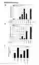 Fig. 14 - METHODS FOR GENERATING HEPATOCYTES AND CHOLANGIOCYTES FROM PLURIPOTENT STEM CELLS