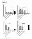 Fig. 18 - METHODS FOR GENERATING HEPATOCYTES AND CHOLANGIOCYTES FROM PLURIPOTENT STEM CELLS