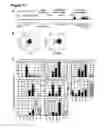 Fig. 19 - METHODS FOR GENERATING HEPATOCYTES AND CHOLANGIOCYTES FROM PLURIPOTENT STEM CELLS