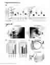Fig. 23 - METHODS FOR GENERATING HEPATOCYTES AND CHOLANGIOCYTES FROM PLURIPOTENT STEM CELLS