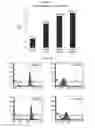 Fig. 05 - METHOD OF PRODUCING MICROPARTICLES