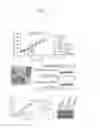Fig. 08 - PRODUCTION METHODS FOR MEGAKARYOCYTES AND PLATELETS