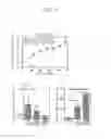 Fig. 09 - PRODUCTION METHODS FOR MEGAKARYOCYTES AND PLATELETS
