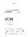Fig. 13 - PRODUCTION METHODS FOR MEGAKARYOCYTES AND PLATELETS