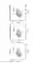 Fig. 10 - Composition for promoting cardiac differentiation of pluripotent stem cell comprising EGFR inhibitor