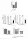 Fig. 17 - METHODS OF UPSCALING MESENCHYMAL STROMAL CELL PRODUCTION, COMPOSITIONS AND KIT THEREOF