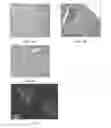 Fig. 05 - Bioengineered liver constructs and methods relating thereto