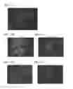 Fig. 15 - Bioengineered liver constructs and methods relating thereto