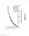 Fig. 17 - Selective cell therapy for the treatment of renal failure