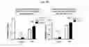 Fig. 14 - Method for suppressing teratoma formation via selective cell death induction in undifferentiated human-induced pluripotent stem cells