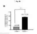 Fig. 16 - Method for suppressing teratoma formation via selective cell death induction in undifferentiated human-induced pluripotent stem cells