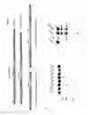 Fig. 03 - Adeno-associated-virus Rep sequences, vectors and viruses