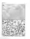 Fig. 05 - Methods to produce bunyavirus replicon particles