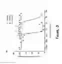 Fig. 04 - VEGFR-3 ligand binding molecules and uses thereof