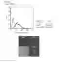 Fig. 16 - Cell penetrating peptide, conjugate comprising same, and composition comprising conjugate