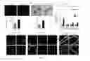 Fig. 06 - METHODS AND COMPOSITIONS FOR MANAGING VASCULAR CONDITIONS